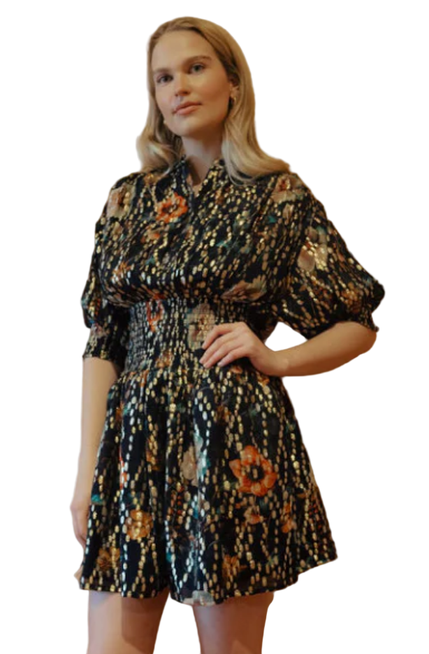 cynthia mini dress Never A Wallflower - Cynthia Mini Dress