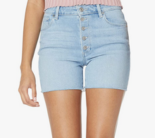 Load image into Gallery viewer, Paige - Sarah Longline Denim Short - Parkway Distressed

