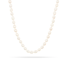 Load image into Gallery viewer, Adina Reyter - Chunky Seed Pearl Necklace
