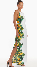 Load image into Gallery viewer, Amanda Uprichard - Alicanta Maxi Dress - Lemonhead

