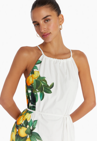 Amanda Uprichard - Alicanta Maxi Dress - Lemonhead