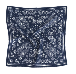 Lost Pattern - Paisley Silk Bandana Scarf
