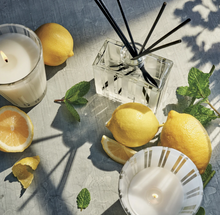 Load image into Gallery viewer, NEST - Reed Diffuser - Amalfi Lemon &amp; Mint
