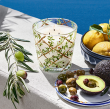 Load image into Gallery viewer, NEST - Limited Edition 3 Wick Candle - Santorini Olive &amp; Citron
