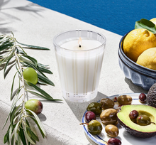 Load image into Gallery viewer, NEST - Classic Candle - Santorini Olive &amp; Citron

